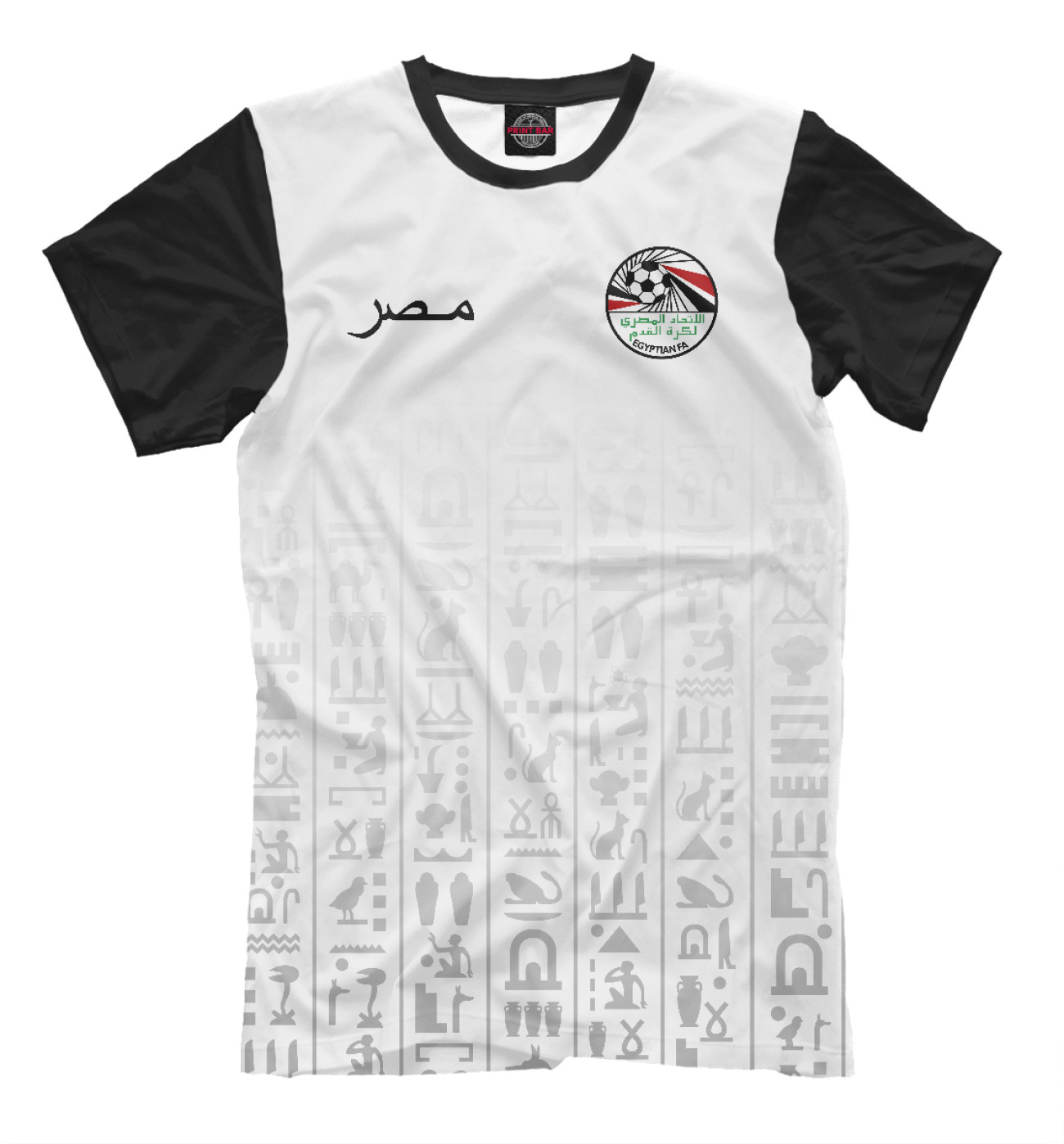 Мужская Футболка Египет, артикул: FNS-731925-fut-2