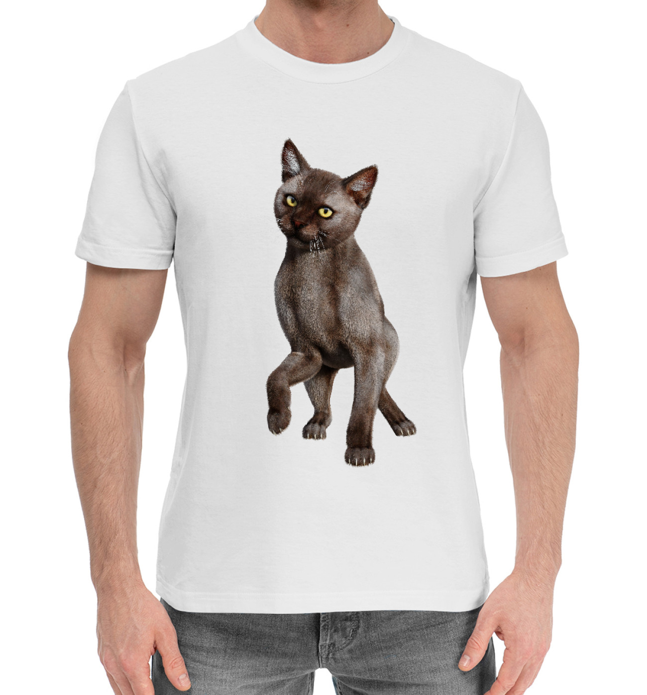 Мужская Хлопковая футболка Танцующий кот, артикул: CAT-838390-hfu-2