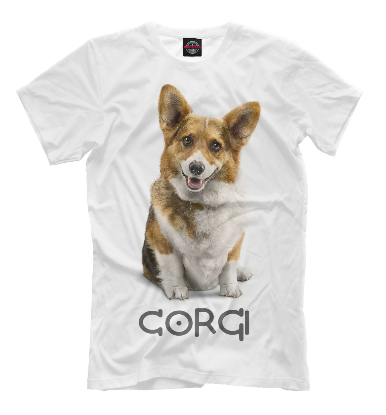 Мужская Футболка Corgi Dog, артикул: DOG-739805-fut-2