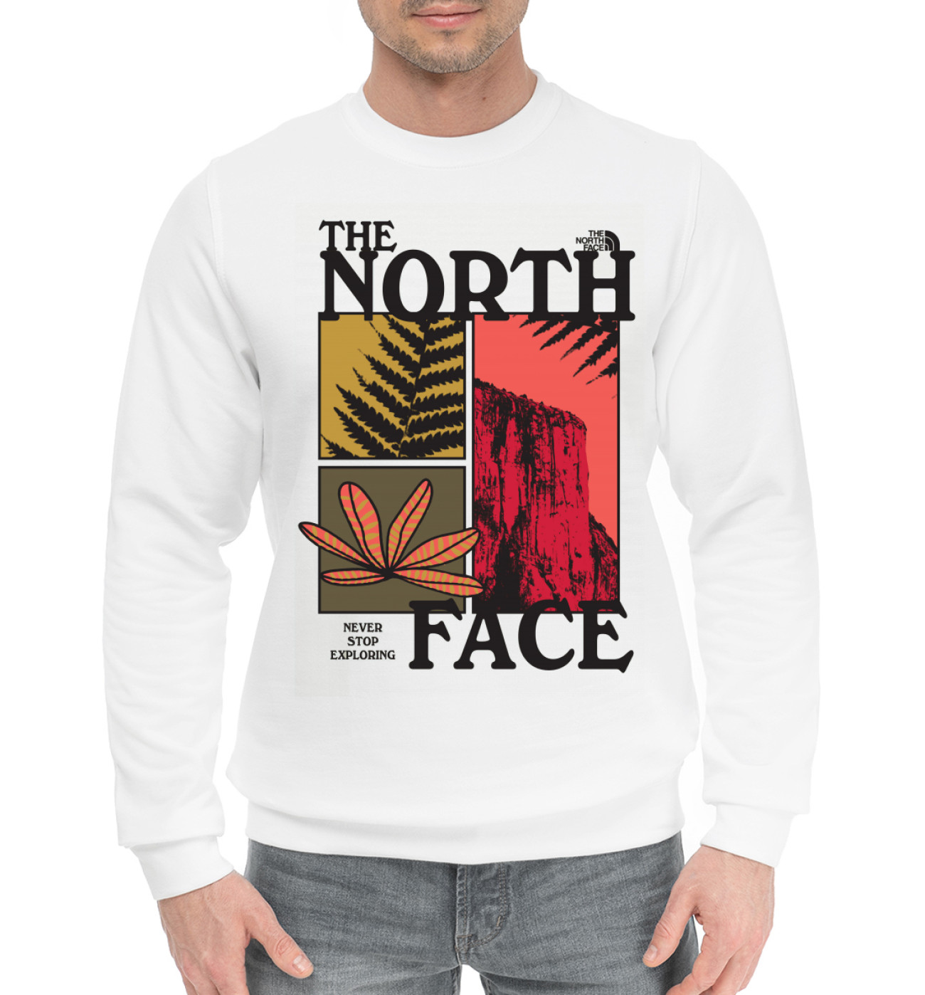 Мужской Хлопковый свитшот The North Face, артикул: TNA-751952-hsw-2
