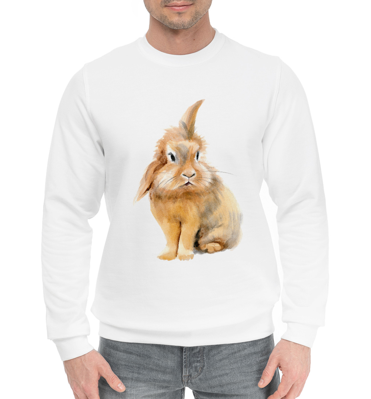 Мужской Хлопковый свитшот Рыжий кролик, артикул: RAB-231856-hsw-2
