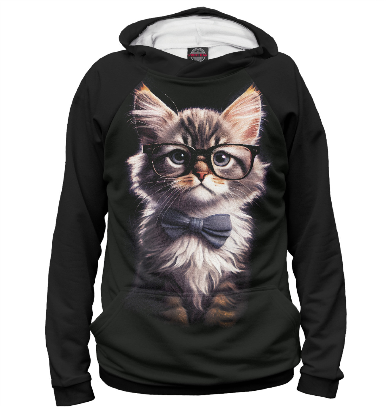 Мужское Худи Пушистый котенок в очках, артикул: CAT-403252-hud-2