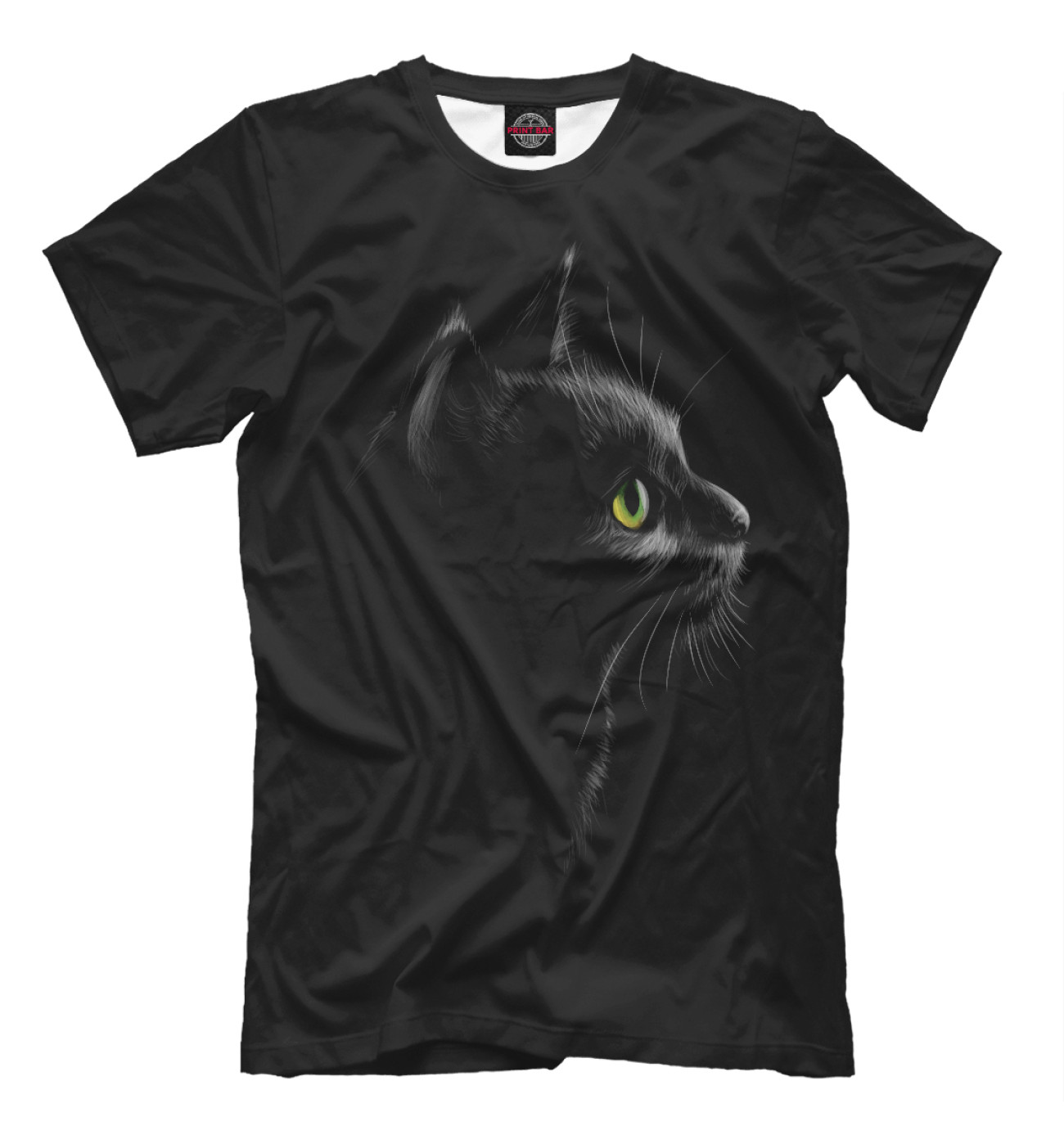 Мужская Футболка Черный кот на черном фоне, артикул: CAT-967260-fut-2