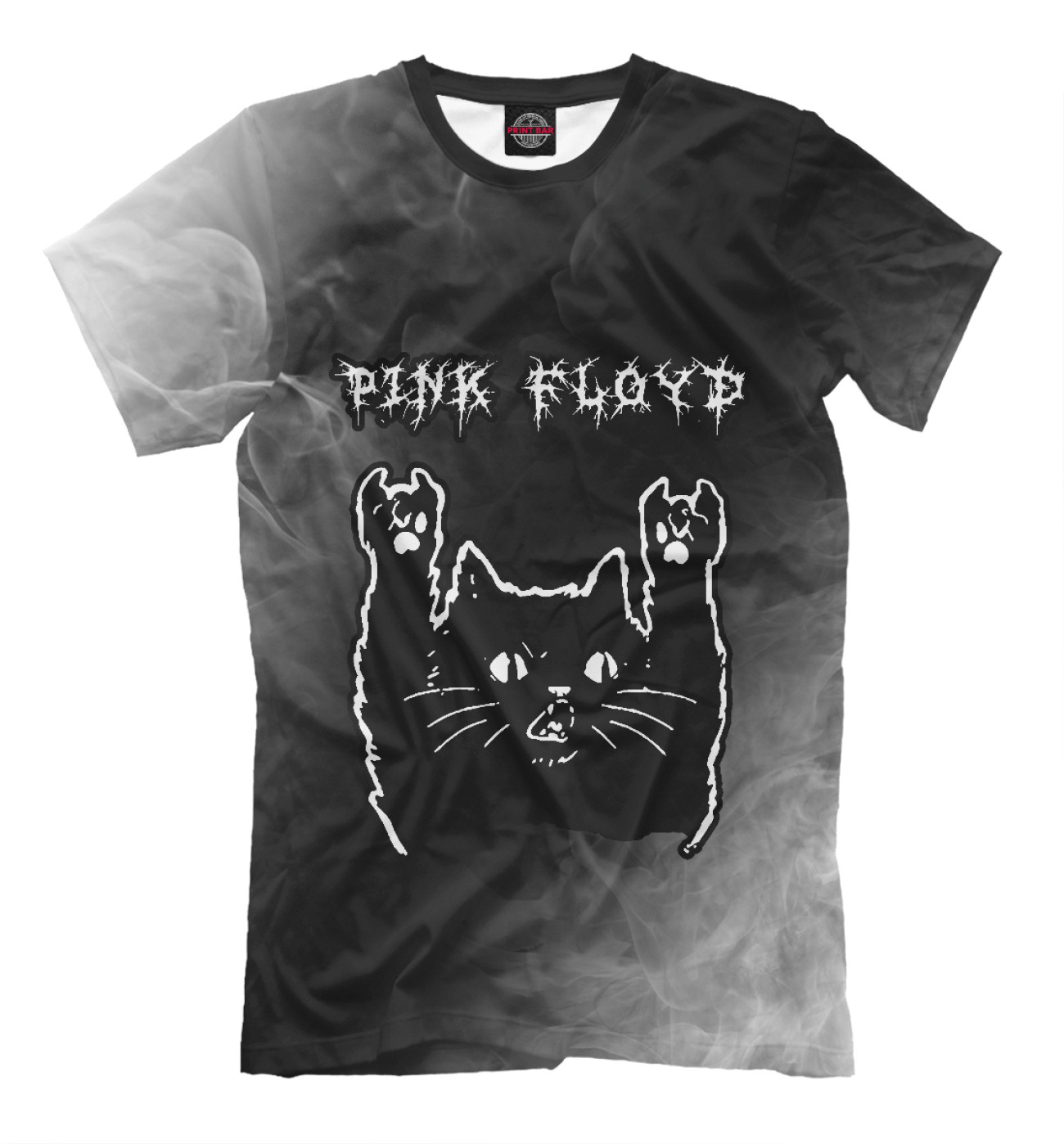 Мужская Футболка Pink Floyd / Рок Кот, артикул: PFL-546402-fut-2
